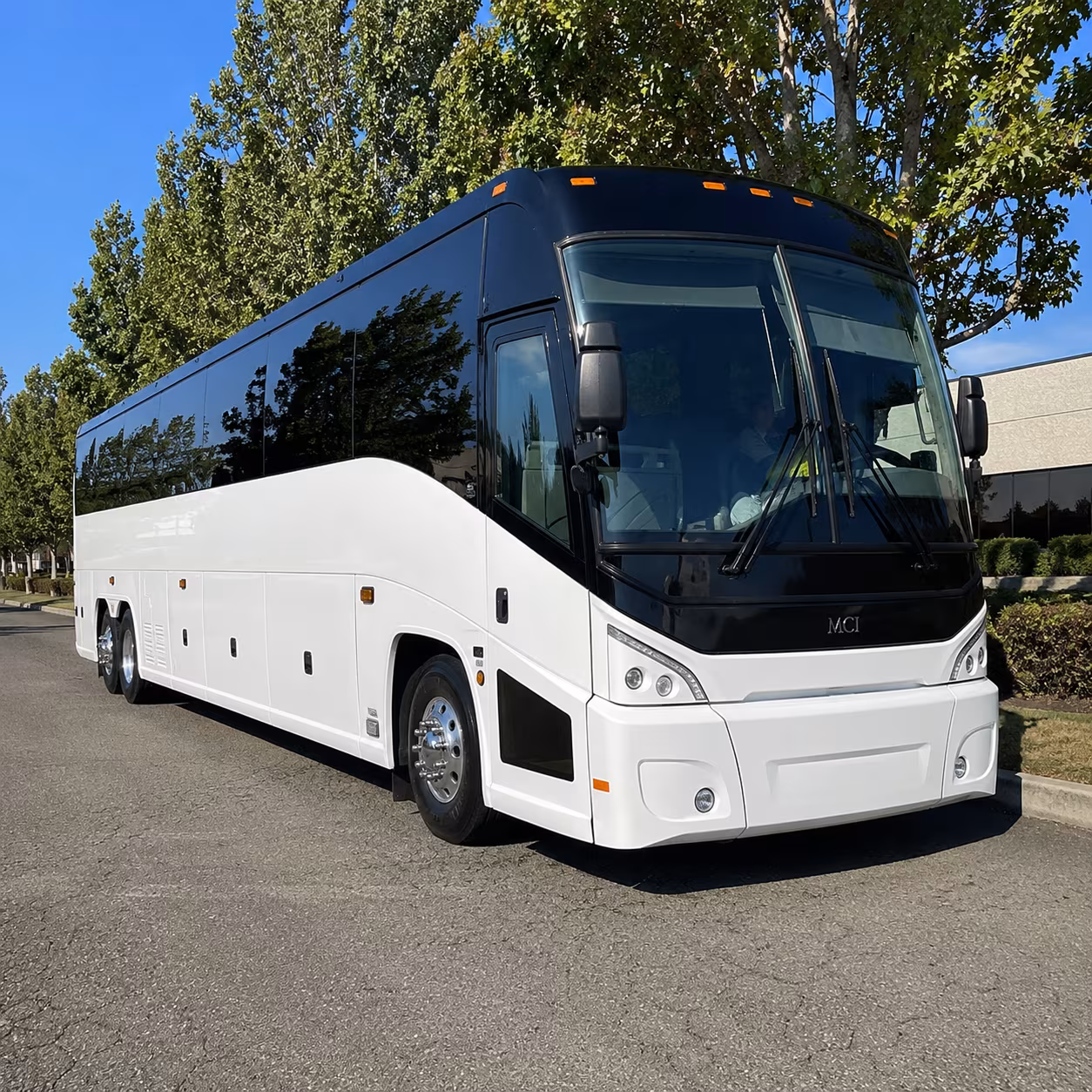plano 50 passenger charter bus